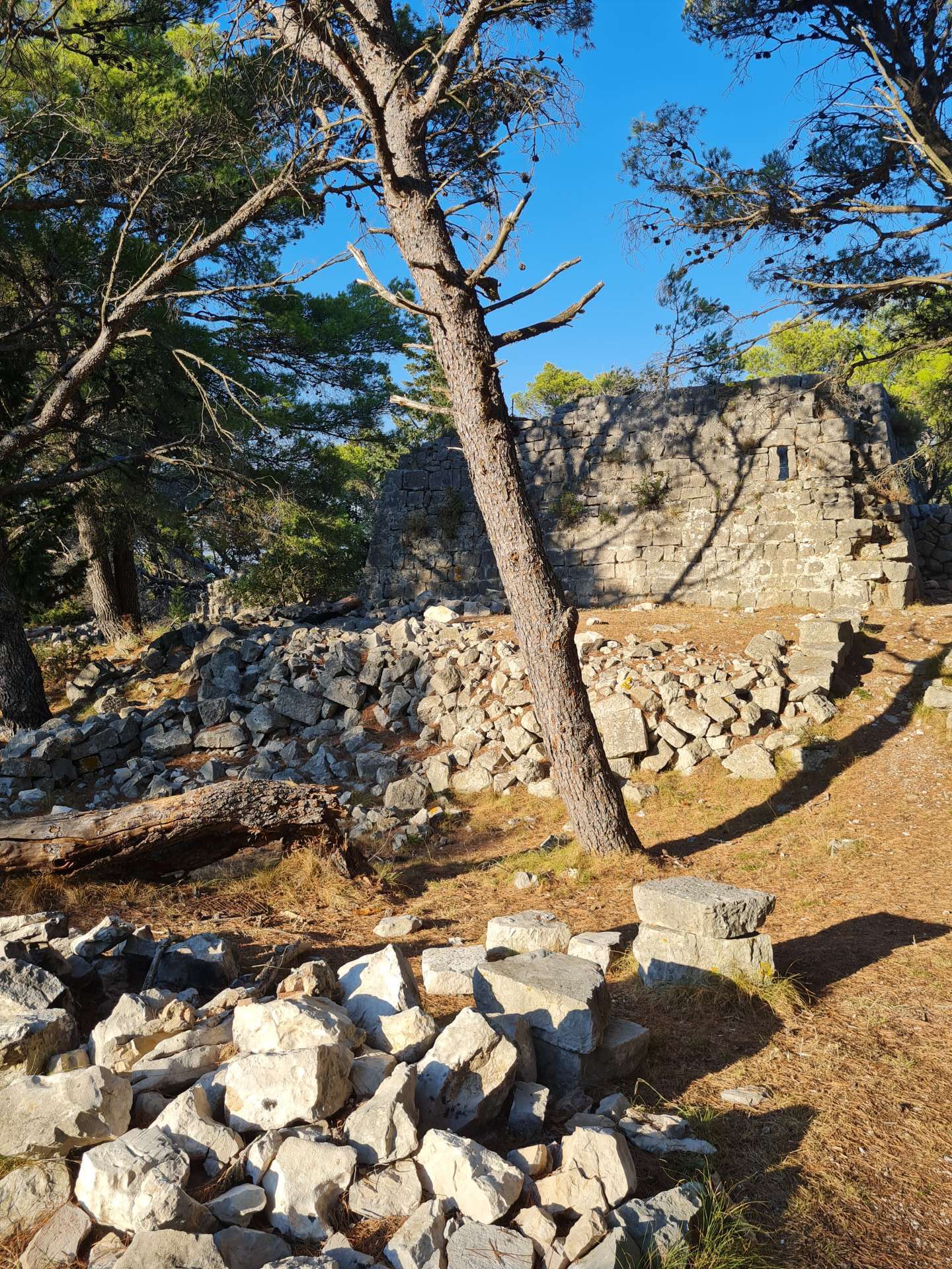 Gorica - 