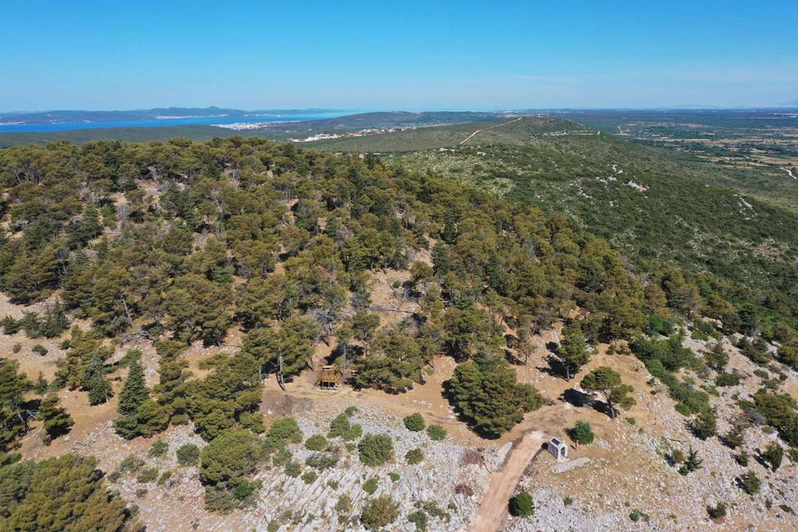 Gorica - 